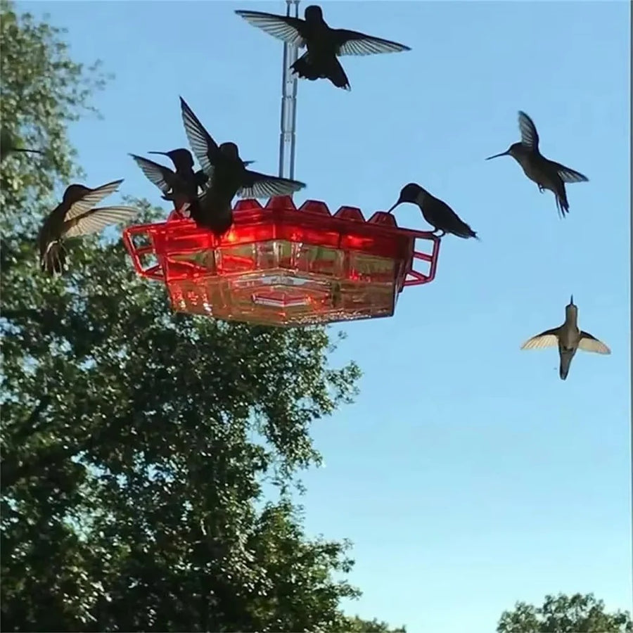 Mygametables Hummingbird Feeder with Ant Proof Hanging Perch