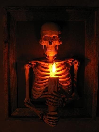 Framed Skeleton Torso Wall Display with Flashing Candle Bulb and Wooden Frame