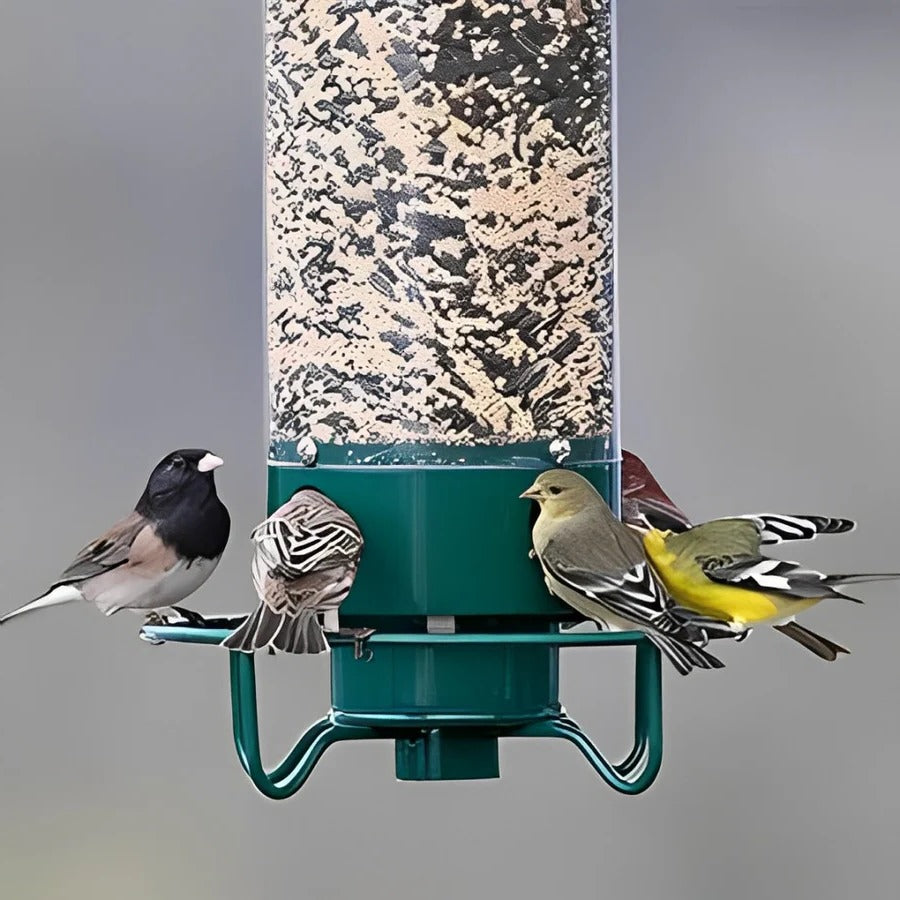 Squirrel Resistant Bird Feeder with Spinning Perch and Five-Pound Seed Capacity