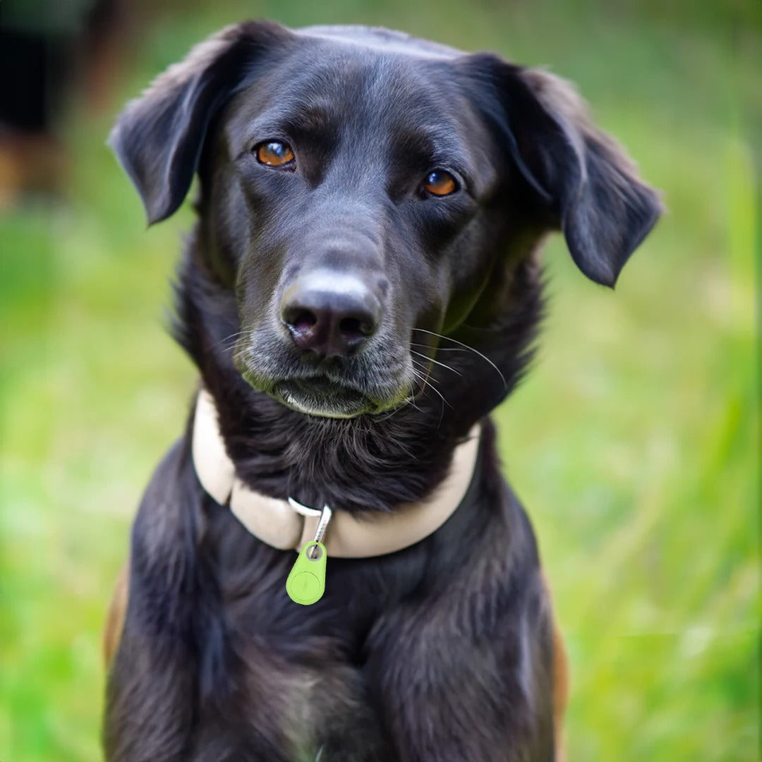 Bluetooth Pet Tracker with Real-Time Location and Proximity Alerts, 6-Month Battery