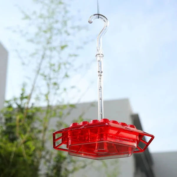 Hummingbird Feeder With Ant Moat for Easy, Pest-Free Nectar Feeding
