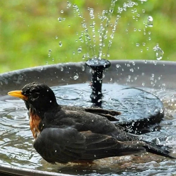 Solar Powered Garden Fountain Pump