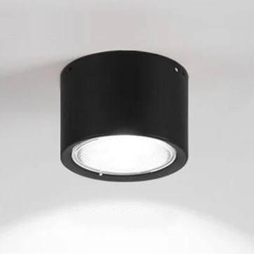 Adjustable Cylinder LED Ceiling Spotlight