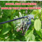WeedMaster™ - Your Ultimate Weeding Tool marnetic