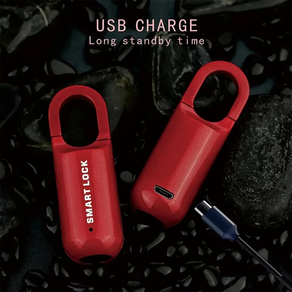 Fingerprint Padlock with 10-Print Storage and Zinc Alloy Body, 0.2 Second Recognition
