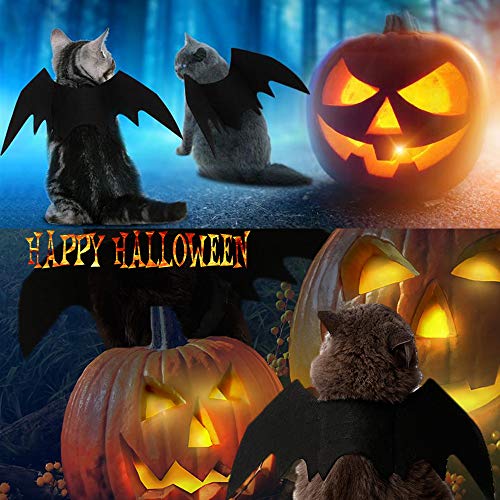 Bat Wings Costume Accessory with Adjustable Dual Straps for Cats and Small Dogs