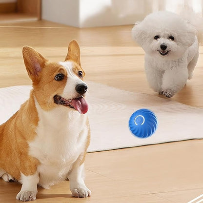Interactive Motion Dog Toy with Obstacle Sensing and Unpredictable Movement, Rechargeable