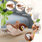 Interactive Cat Toy with Motion-Activated Chirps and USB Rechargeable, Catnip Pocket