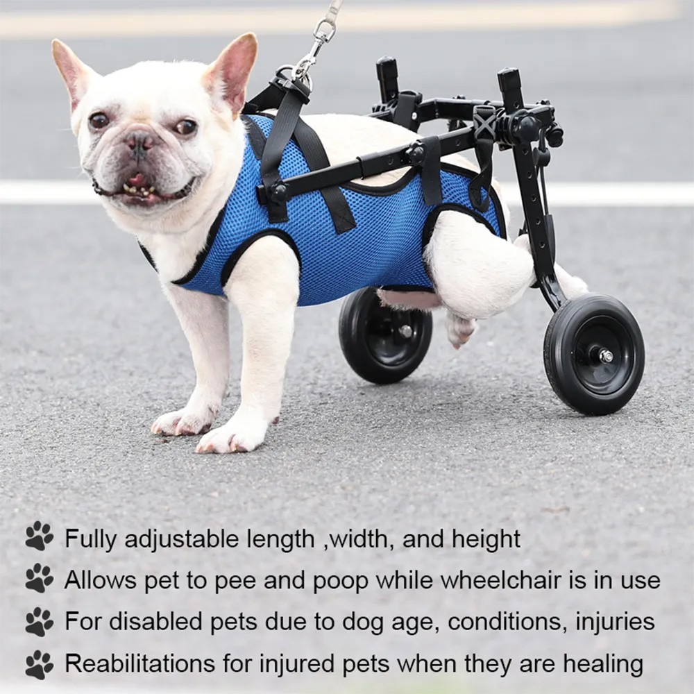 Adjustable Pet Wheelchair with Hind Leg Support and Secure Bracket, Dogs Cats