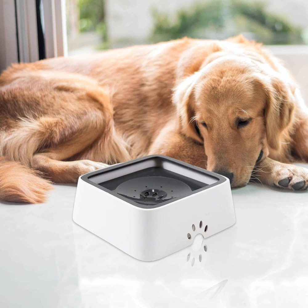 Dog Water Bowl with Floating Disk Control and Non-Slip Base, 1.5 Liter