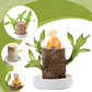 Low Light Indoor Plant with Air Purifying Leaves and Compact Root System