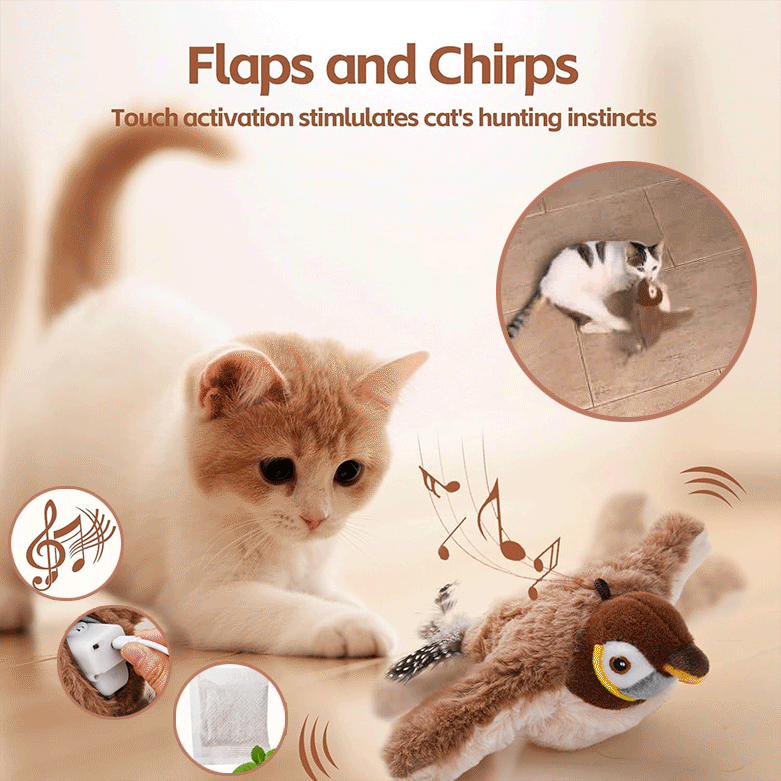 Interactive Cat Toy with Motion-Activated Chirps and USB Rechargeable, Catnip Pocket