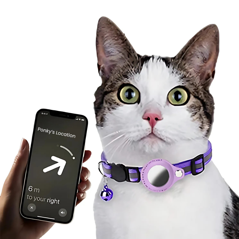 Pet Collar with Reflective Strip and Tracker Holder, Waterproof Adjustable