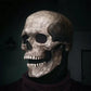 Movable Jaw Realistic Full Head Skull Mask for Halloween