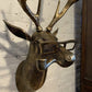Unique Animal Head Wall Décor for Playful Home Interiors
