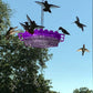 Hummingbird Feeder with Bee-Resistant Hexagonal Ports and 12oz Capacity All Vera Mart