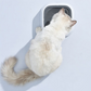 Dog Water Bowl with Floating Disk Control and Non-Slip Base, 1.5 Liter