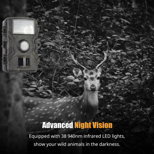High-Definition 1080P Night Vision Trail Camera