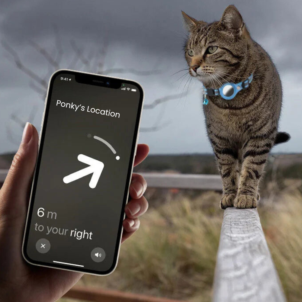 Pet Collar with Reflective Strip and Tracker Holder, Waterproof Adjustable