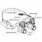 Adjustable LED Headband Magnifier with Interchangeable Lenses