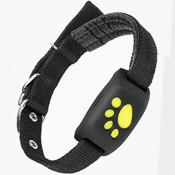 GPS Pet Tracker Collar with App Control and Geo-Fence Alerts for Cats and Dogs