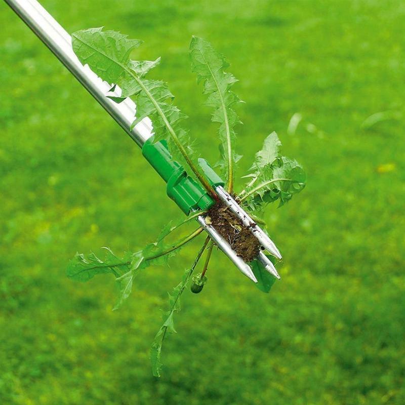 Standing Weed Puller with Triple Steel Claws and Foot Pedal, 50cm Handle