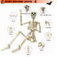 Life Size Halloween Skeleton Decoration with Adjustable Joints
