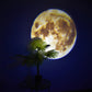 Celestial Projection Lamp with Dual Moon and Earth Films