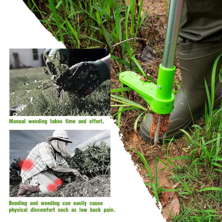 Standing Weed Puller with Triple Steel Claws and Foot Pedal, 50cm Handle