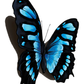 3D Realistic Temporary Tattoo with Water Transfer Application, 2.5x4 Inches