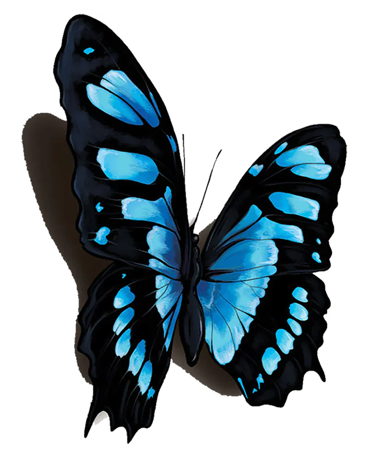 3D Realistic Temporary Tattoo with Water Transfer Application, 2.5x4 Inches