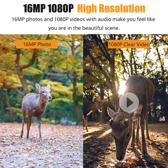 High-Definition 1080P Night Vision Trail Camera