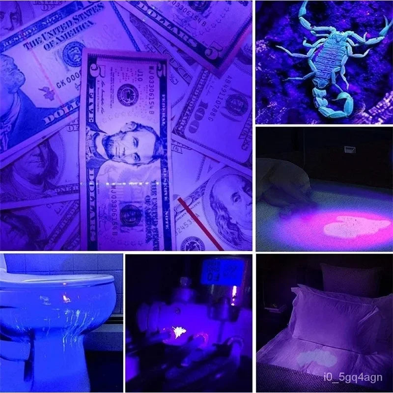 Ultraviolet Flashlight with 100 LED Array and 328ft Detection Range