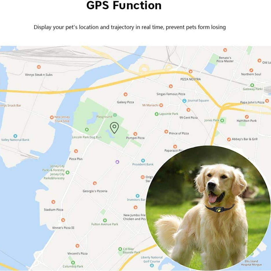 GPS Pet Tracker Collar with App Control and Geo-Fence Alerts for Cats and Dogs