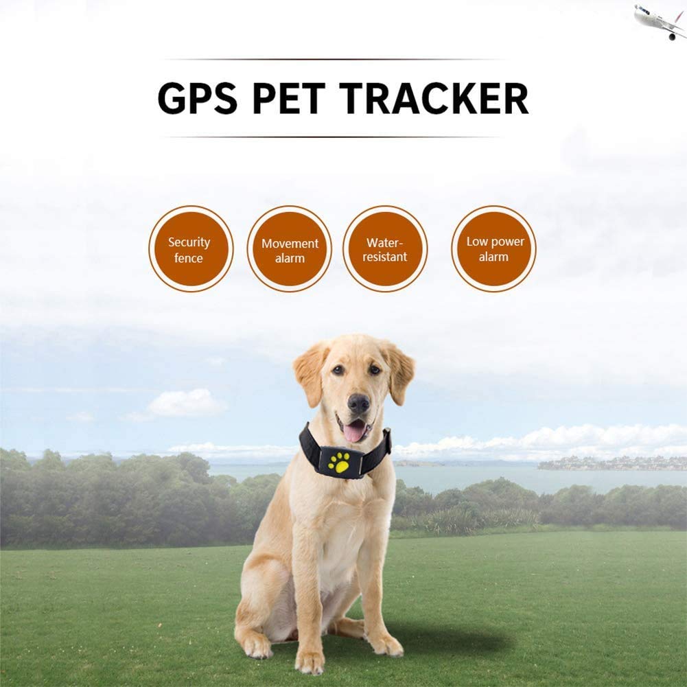 GPS Pet Tracker Collar with App Control and Geo-Fence Alerts for Cats and Dogs