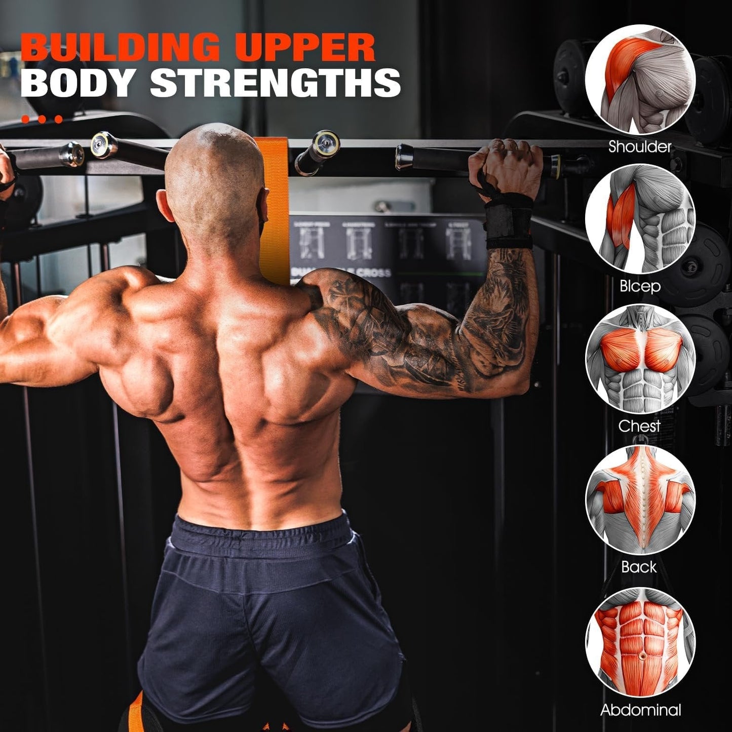 Pull Up Assist Band with Double Foot System and Steel Hooks