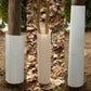 Tree Squirrel Guard Shield with Adjustable Buckle System and Weatherproof Plastic, 6-Pack