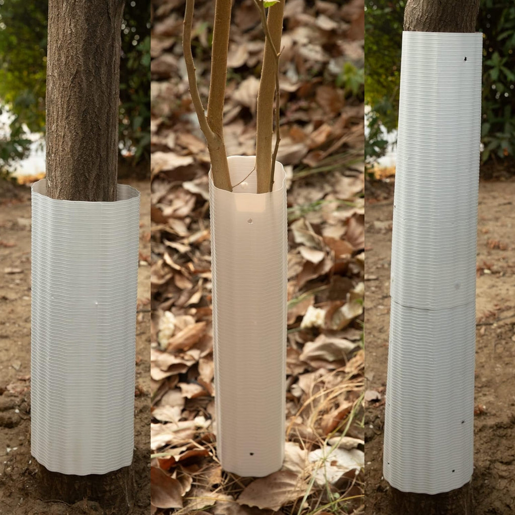 Tree Squirrel Guard Shield with Adjustable Buckle System and Weatherproof Plastic, 6-Pack