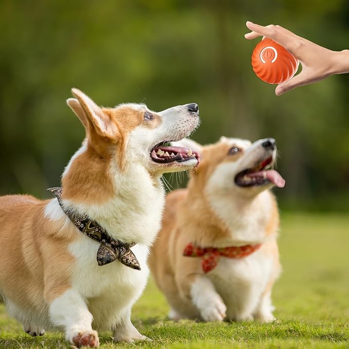 Interactive Motion Dog Toy with Obstacle Sensing and Unpredictable Movement, Rechargeable