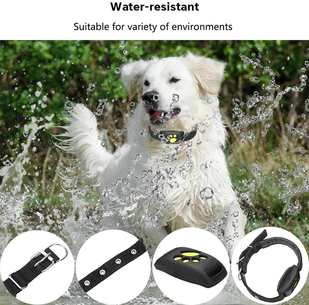 GPS Pet Tracker Collar with App Control and Geo-Fence Alerts for Cats and Dogs
