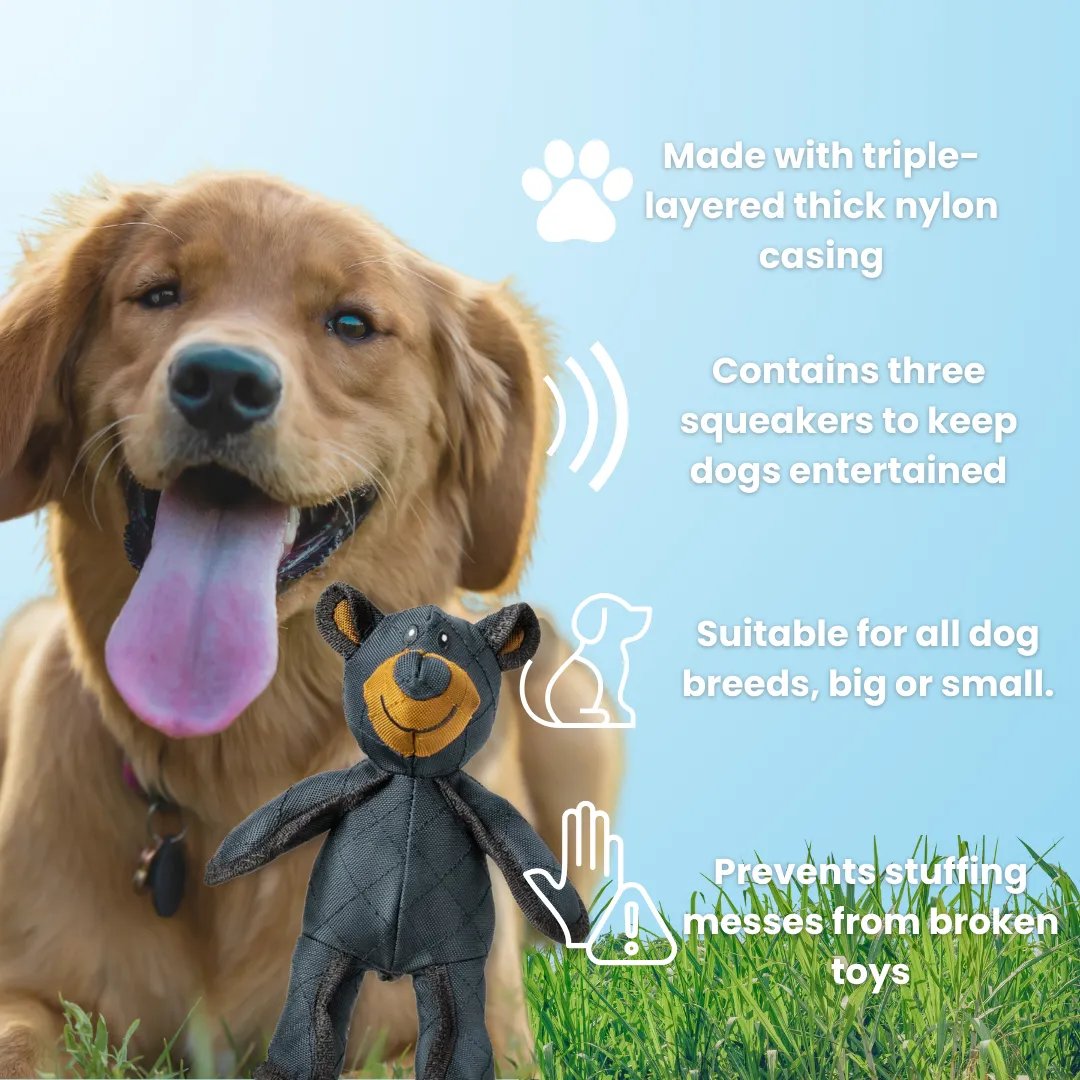 Dog Chew Toy with Reinforced Core and Textured Dental Surface, Buoyant Durable Design