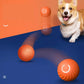 Automatic Active Rolling Ball for Pets and Stress Relief