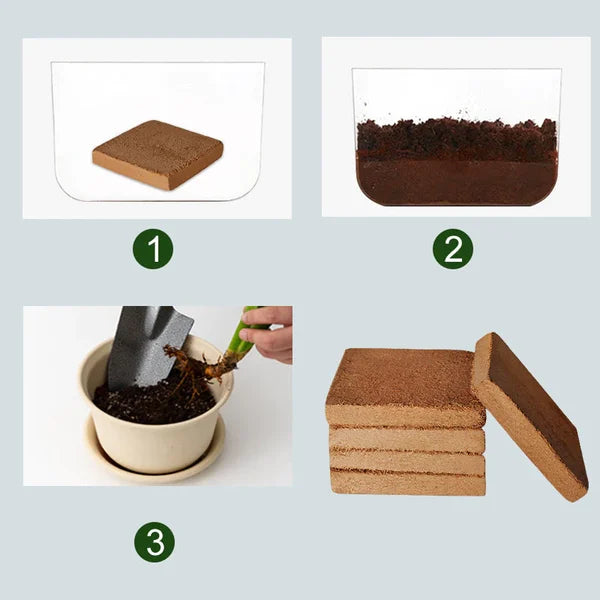 Compressed Coco Coir Block with Water Expansion for Indoor and Outdoor Plants