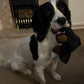 Dog Chew Toy with Reinforced Core and Textured Dental Surface, Buoyant Durable Design