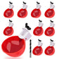 Sjbackyard Chicken Waterer Automatic Refill Cups