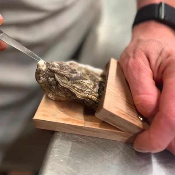 Wooden Oyster Shucking Clamp with Table Edge Mount and Screw Tightening