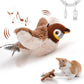 Interactive Cat Toy with Motion-Activated Chirps and USB Rechargeable, Catnip Pocket