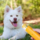 Ultrasonic Dog Training Device with LED Flashlight and Handheld Design