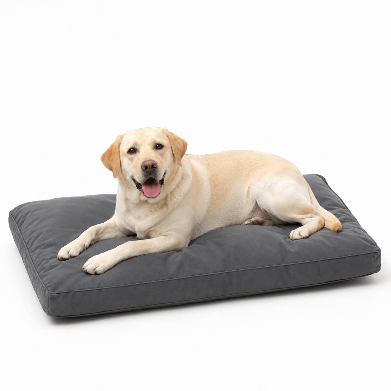 42 Inch Indestructible Durable Dog Bed for Aggressive Chewers, Waterproof Chew Proof Crate Mat