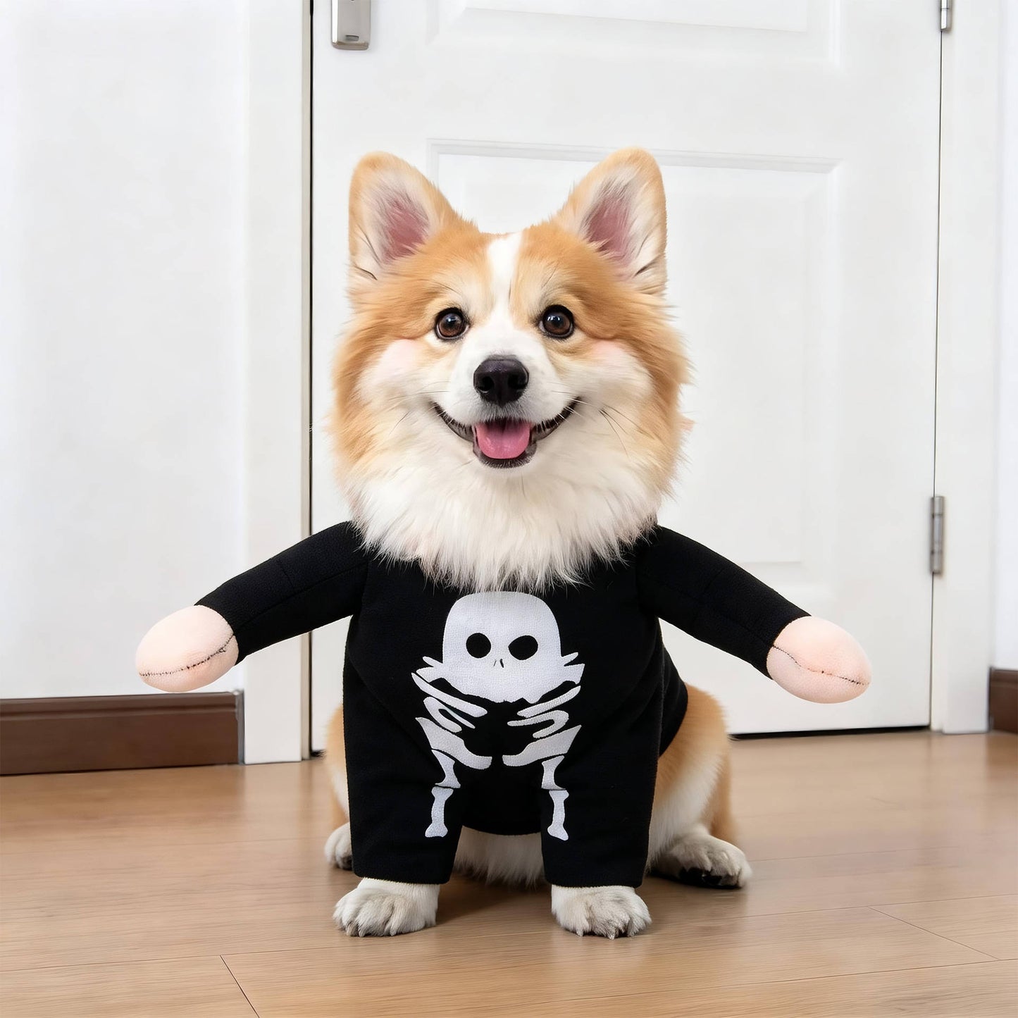 Clown Dog Costume, Creepy Halloween Costume with Fake Arms and 3D Walking Look for Trick or Treating